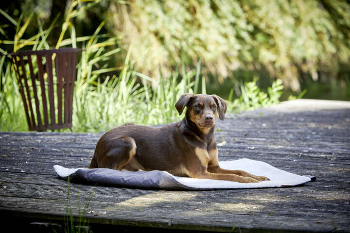 WOLTERS Reisedecke Vagabund